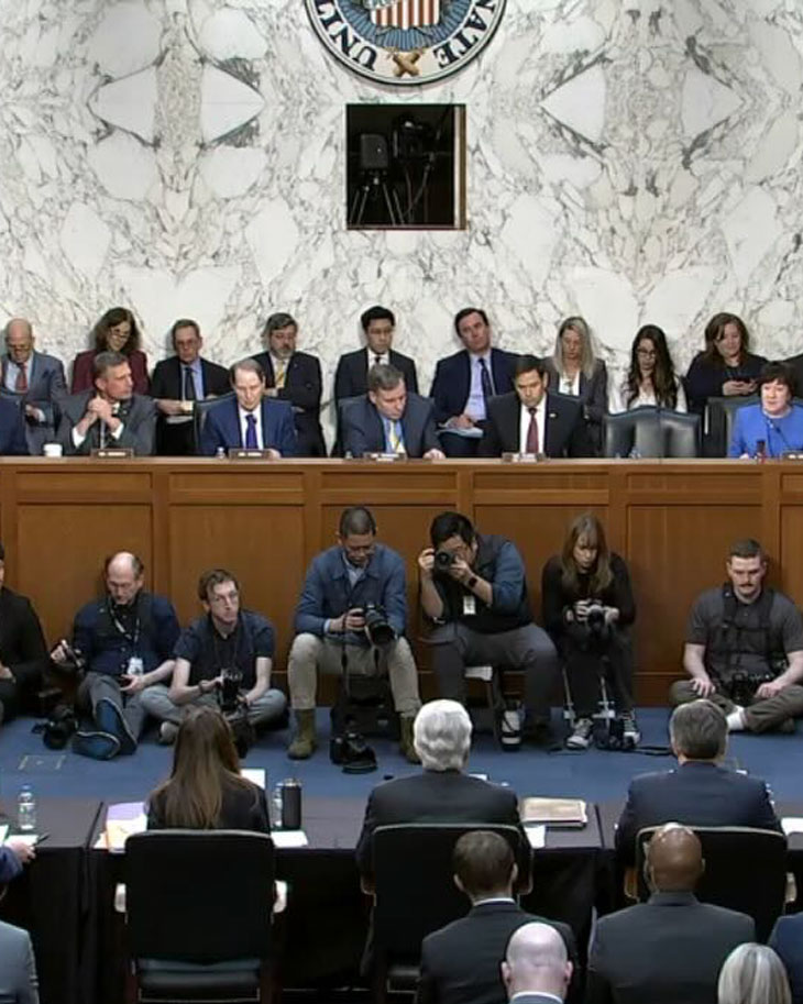 All Committee Members